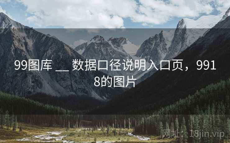 99图库 __ 数据口径说明入口页，9918的图片